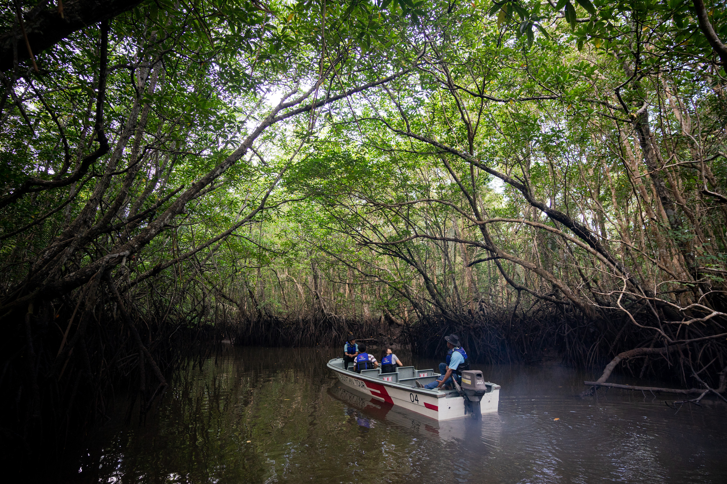 South Bintan Heritage & Mangrove Tour
